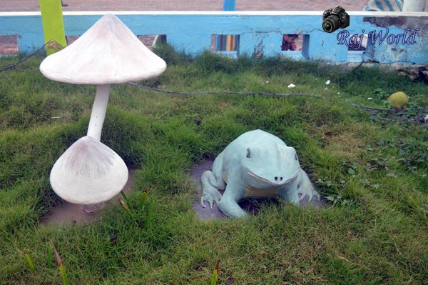 Frog and Mushroom