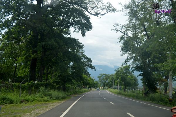 Way to Kurseong