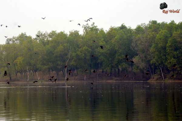 Ranjandih Dam