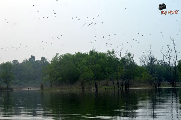 Ranjandih Dam