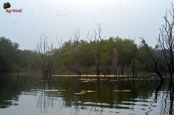 Ranjandih Dam