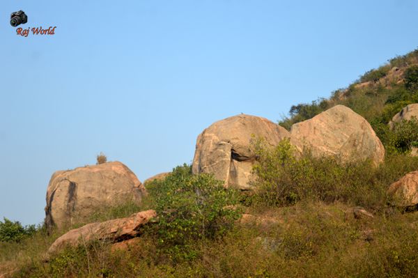 Tilaboni Hill