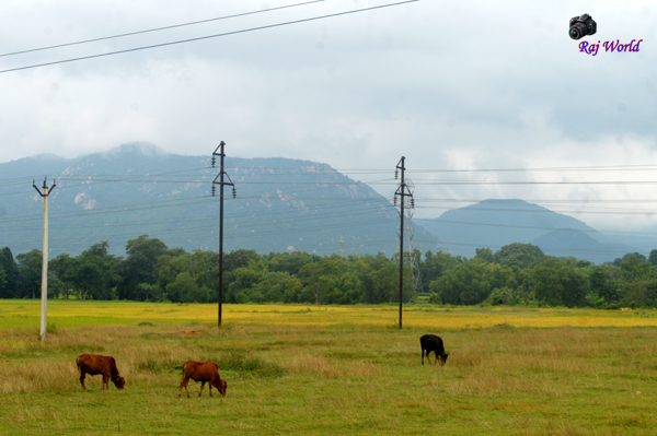 Ajodhya Hill