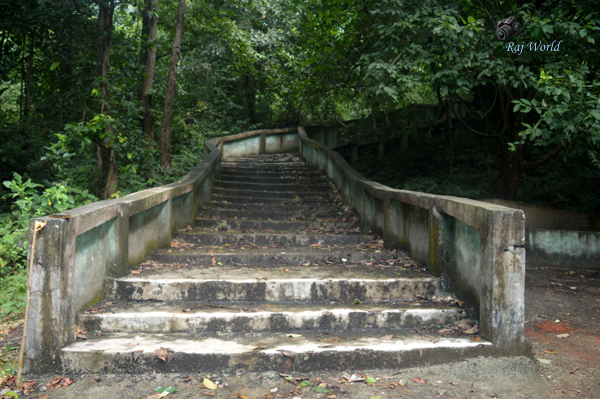 Stair case