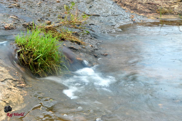 Water body