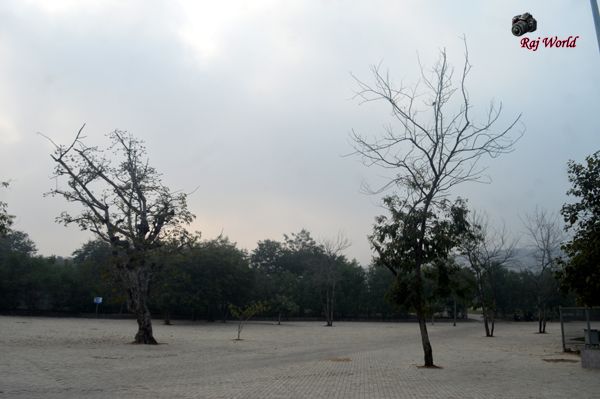 Trees