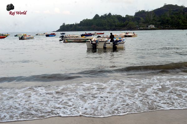 Sea Beach