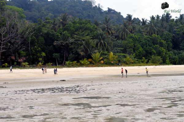 Havelock Island