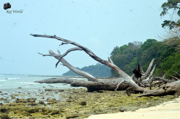 Kala Pathar Beach