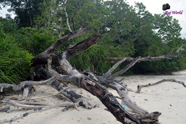 Kala Pathar Beach