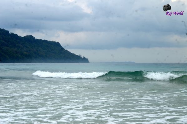 The waves