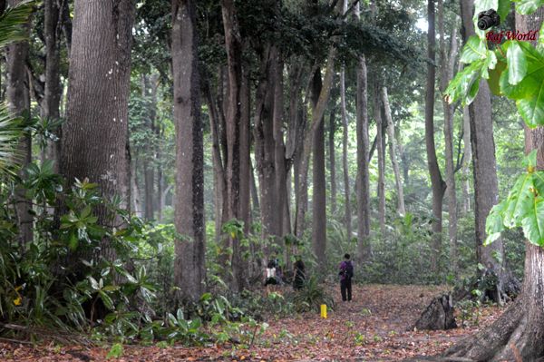 Radhanagar Beach