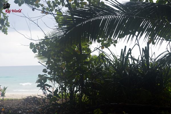 Radhanagar Beach