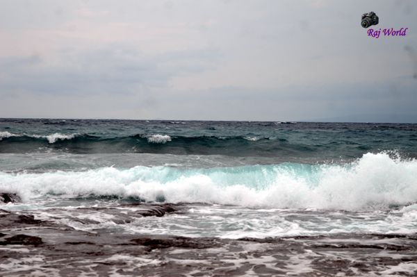 The waves