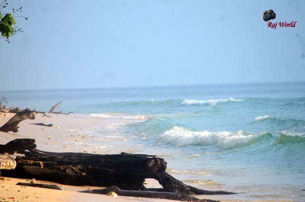The waves