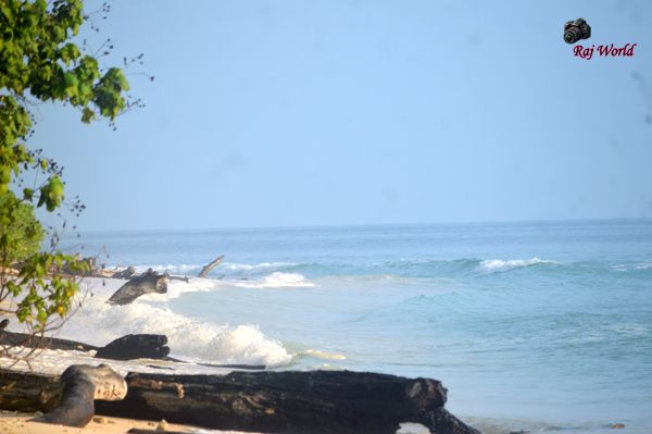 The waves