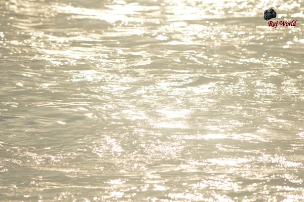 The sunlight on the water