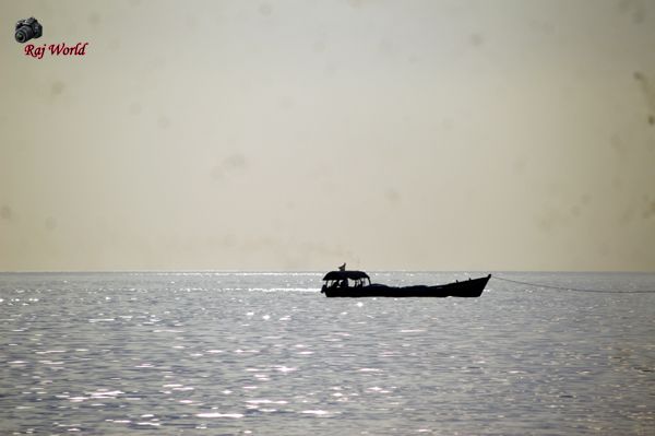 The boat