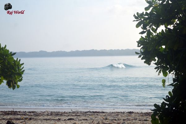 The waves