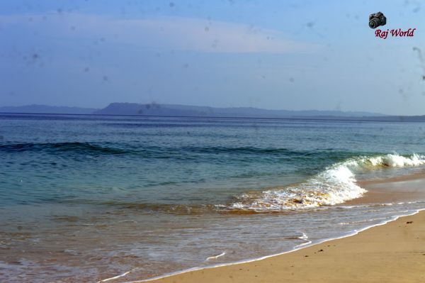 The waves