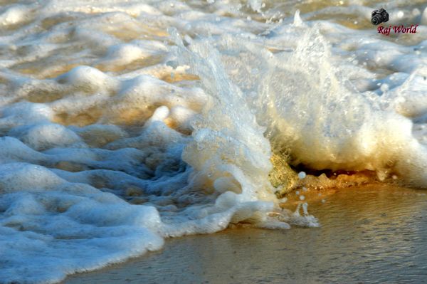 The waves