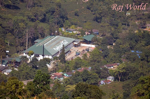 Ambotia Tea Factory