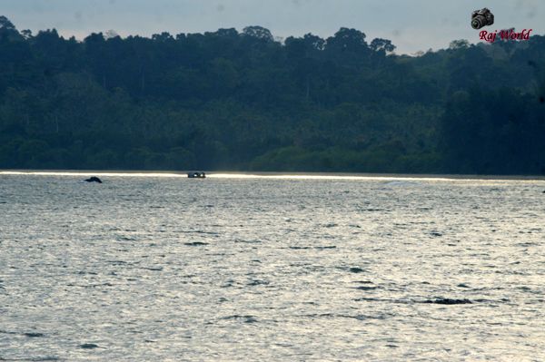 Chidiya Tapu Beach