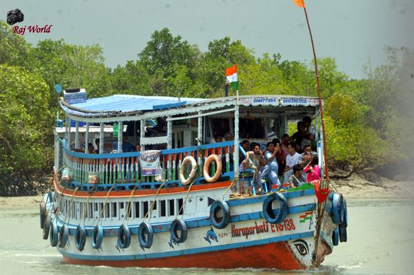 Sundarban