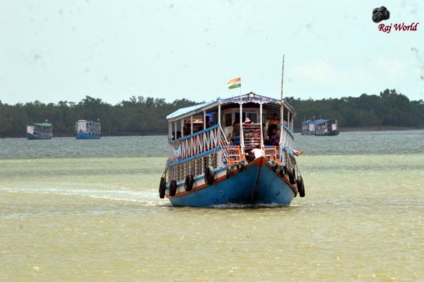 Sundarban