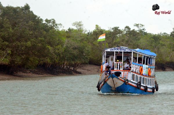 Sundarban