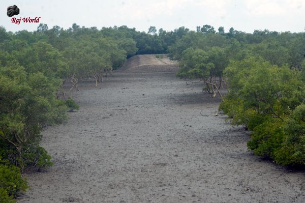 Dobanki Camp