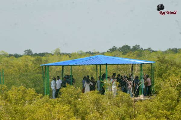 Dobanki Camp