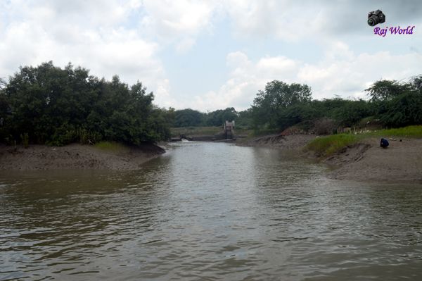 Sundarban