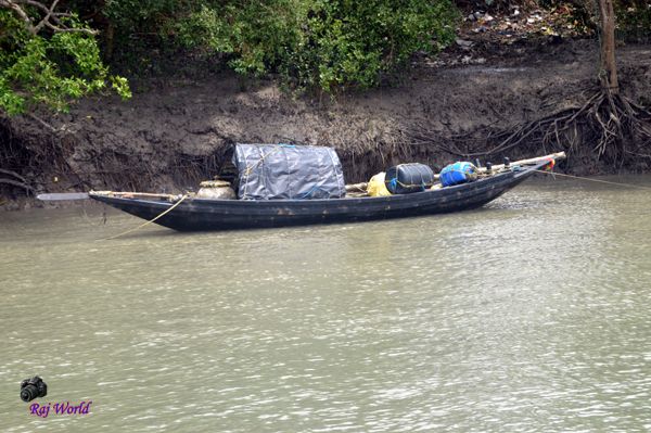 Sundarban