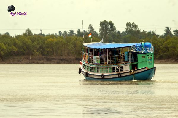 Sundarban