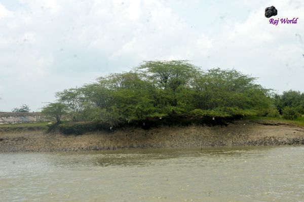 Sundarban