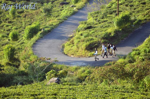 Bypass, Kurseong