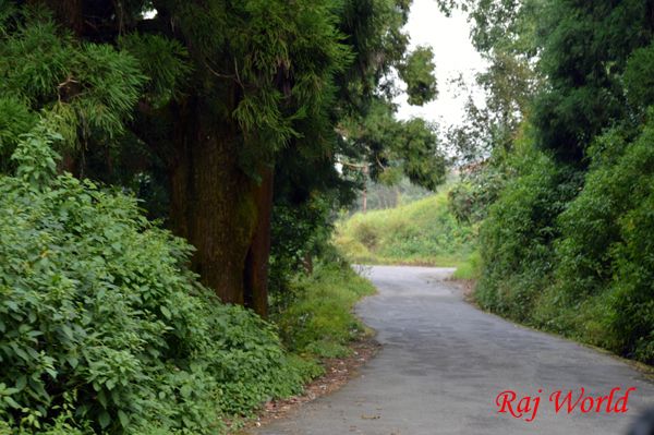 Road at Dow Hill