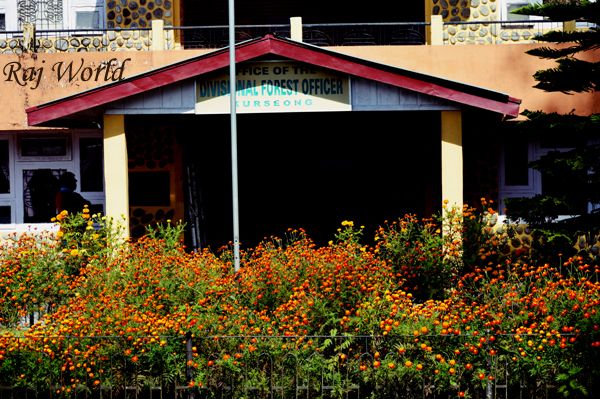 Divisional Forest Office, Kurseong