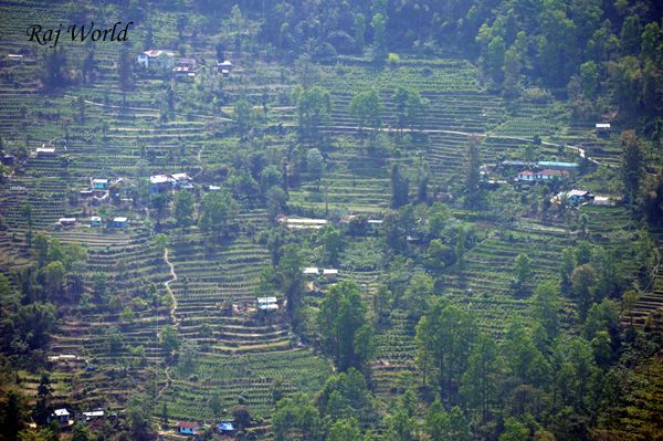 Terrace farming