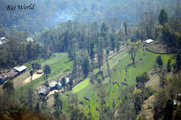 Terrace farming