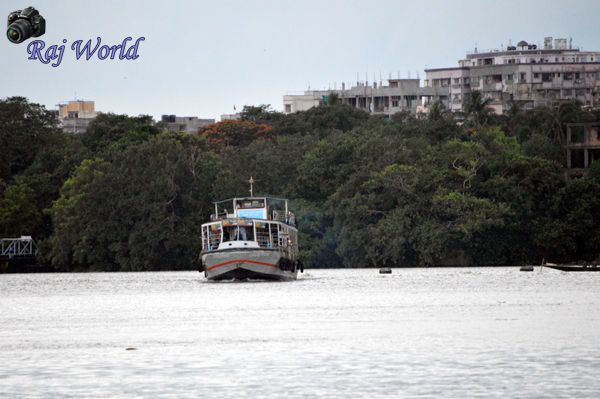 Ferry Service