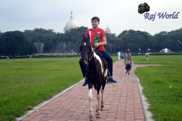 Horse Riding