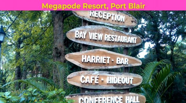 Megapode Resort Part 2