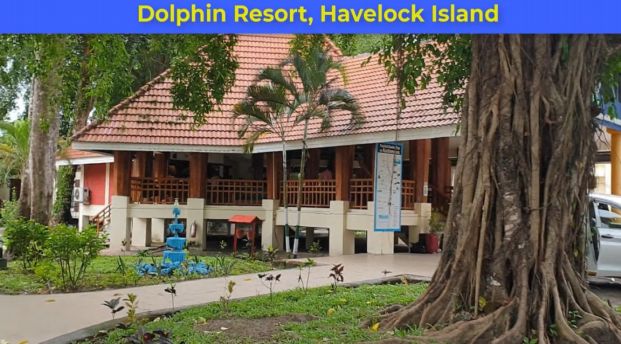 Dolphin Resort