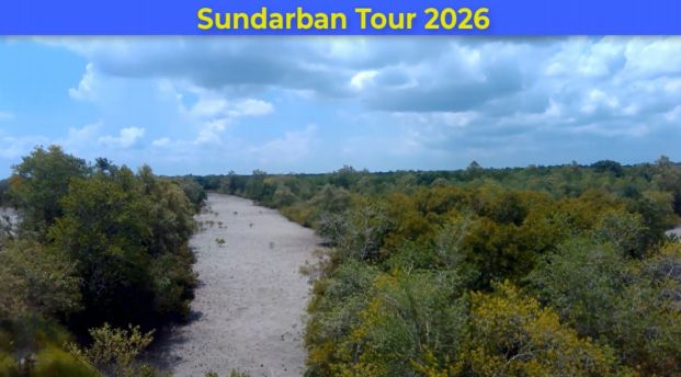 Sundarban Tour 2026 Part 8
