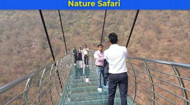 Nature Safari